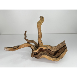 Wood for tanuki bonsai 65 view 3