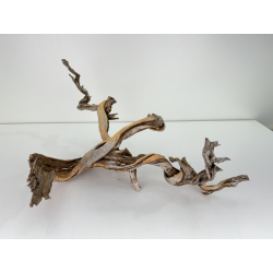 Wood for tanuki bonsai 66 view 2