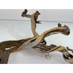 Wood for tanuki bonsai 66 view 3