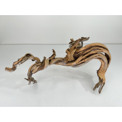 Wood for tanuki bonsai 66 view 4