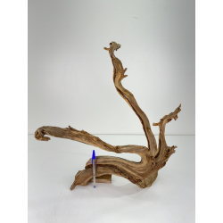 Wood for tanuki bonsai 68