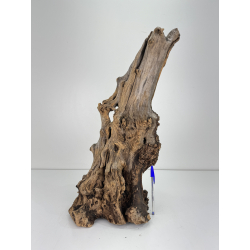 Wood for tanuki bonsai 71