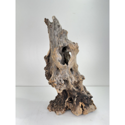 Wood for tanuki bonsai 71 view 2