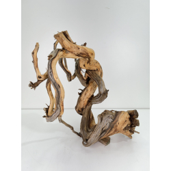 Wood for tanuki bonsai 72 view 3