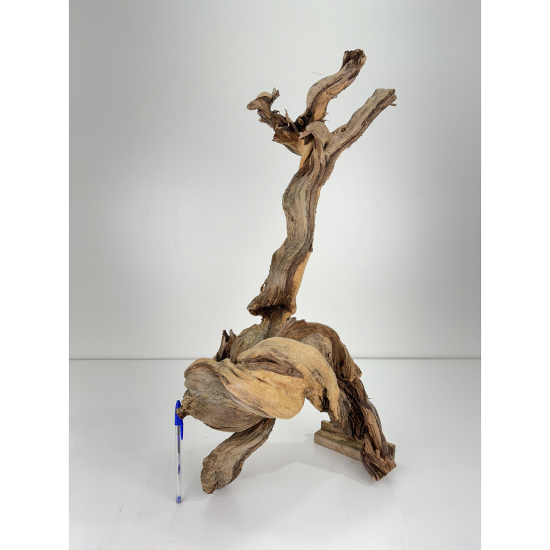 Wood for tanuki bonsai 73