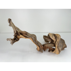 Wood for tanuki bonsai 73 view 3