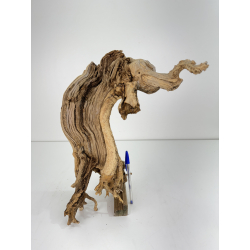 Wood for tanuki bonsai 75