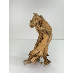 Wood for tanuki bonsai 75 view 2
