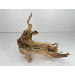 Wood for tanuki bonsai 75 view 3
