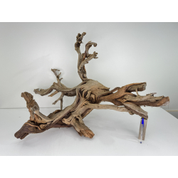 Wood for tanuki bonsai 76