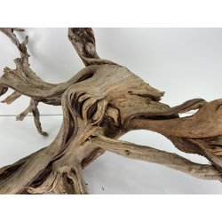 Wood for tanuki bonsai 76 view 2