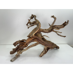 Wood for tanuki bonsai 76 view 3