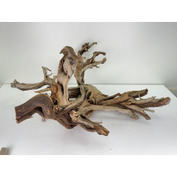 Wood for tanuki bonsai 76 view 4