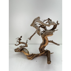Wood for tanuki bonsai 78 view 2