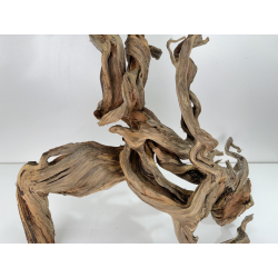 Wood for tanuki bonsai 83 view 2