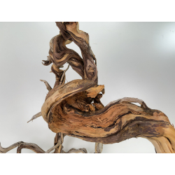 Wood for tanuki bonsai 83 view 4