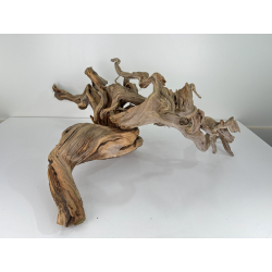 Wood for tanuki bonsai 83 view 5