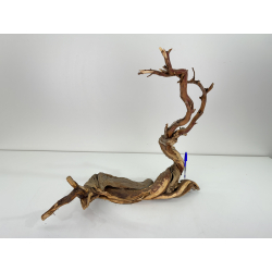 Wood for tanuki bonsai 85