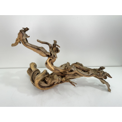 Wood for tanuki bonsai 87 view 2