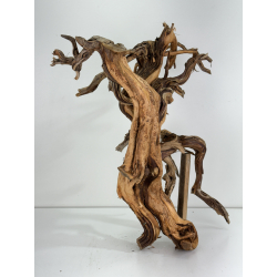 Wood for tanuki bonsai 94 view 2