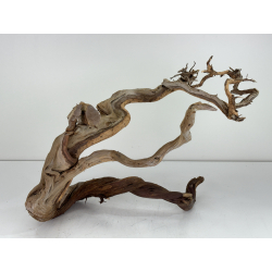 Wood for tanuki bonsai 98 view 2