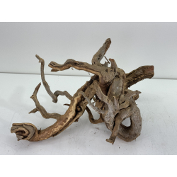 Wood for tanuki bonsai 99 view 3