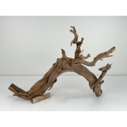 Wood for tanuki bonsai 102 view 2