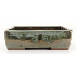 Bonsai pot JTAE116 EJIRI TAIZAN