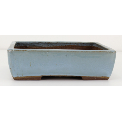 Bonsai pot JTAE105 EJIRI TAIZAN