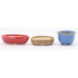 Bonsai pot SET NAU385