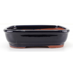 Bonsai pot GAS102-6N