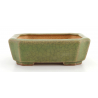 Bonsai pot JTA8288 HATTORI