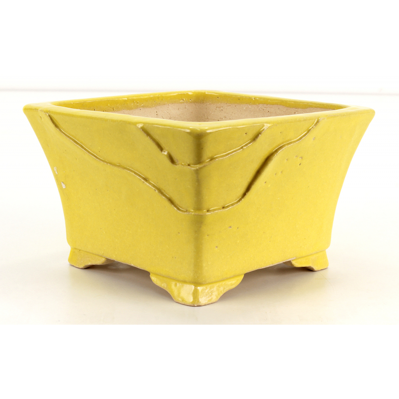 Bonsai pot JTA8313 SHIBAKATSU Bonsai pot JTA8313 SHIBAKATSU