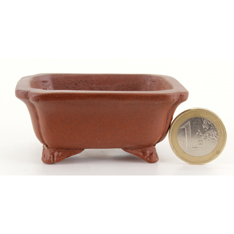 Maceta bonsái JTA8360 SHIBAKATSU Maceta bonsái JTA8360 SHIBAKATSU