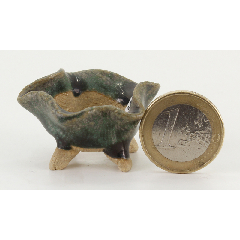 Maceta bonsái JTA8330 SHIBAKATSU Maceta bonsái JTA8330 SHIBAKATSU