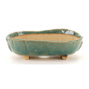 Bonsai pot JTA8377 SHIBAKATSU