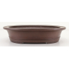 Maceta bonsái JTA8127 YAMAAKI TOSHIO