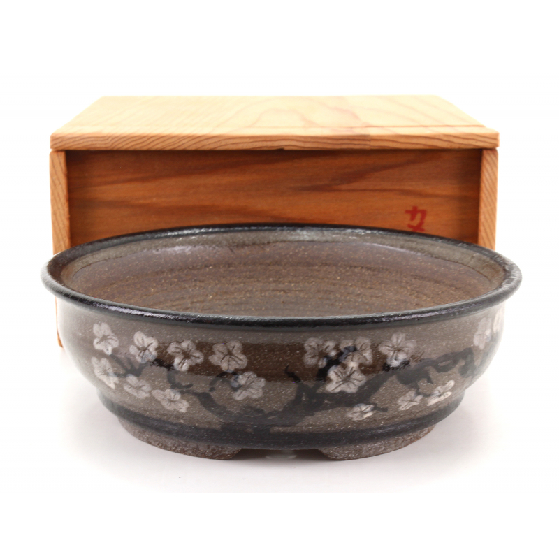 Bonsai pot NAU401 KAMEREON Bonsai pot NAU401 KAMEREON