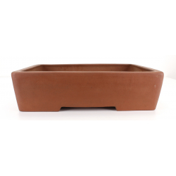 Bonsai pot, Izumi-ya, Shoukou, Tokoname, LaosGarden
