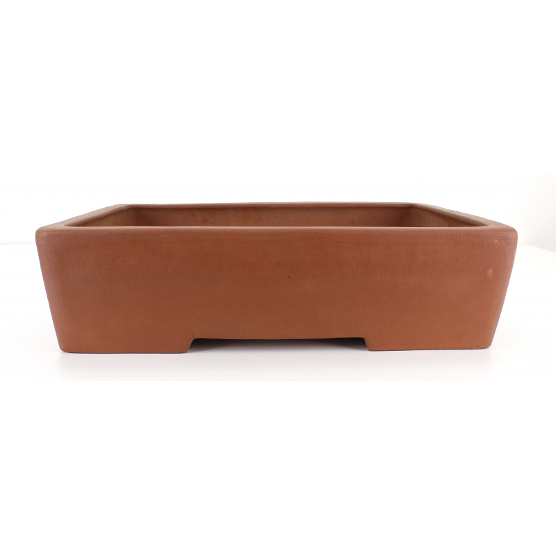 Bonsai pot, Izumi-ya, Shoukou, Tokoname, LaosGarden