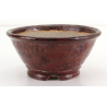 Maceta bonsái JTA8406 BUNZAN ECHIZEN