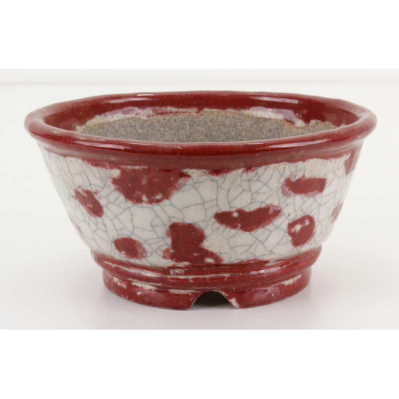 Bonsai pot JTA8409 BUNZAN ECHIZEN Bonsai pot JTA8409 BUNZAN ECHIZEN