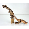 Wood for tanuki bonsai 134 view 2