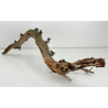 Wood for tanuki bonsai 138 view 4