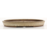 Bonsai pot JTA8502 EJIRI TAIZAN