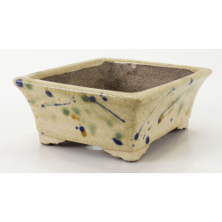 Bonsai pot TER582 TERAHATA SATOMI view 2