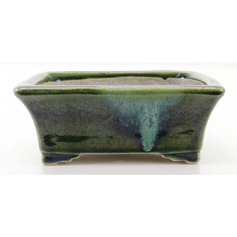 Bonsai pot TER574 TERAHATA SATOMI
