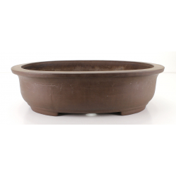 Bonsai pot JTA7716 WATAKAKU SEITOJO