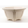 Bonsai pot FCH063 ZHANG ZHICHENG