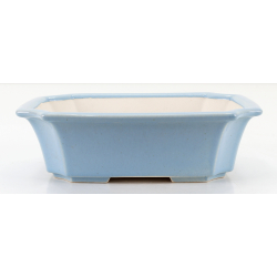 Bonsai pot FCH039 ZHANG ZHICHENG